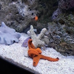 Methods of Mellow - May 2022