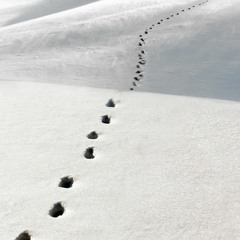 Take This Will Make You Better ( But Eventually You'll Die)