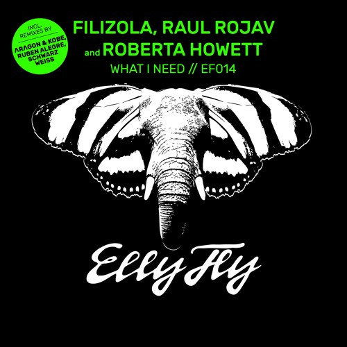What I Need [ΛRΛGON & KOBE (MX) REMIX] - Filizola, Raul Rojav, Roberta Howett