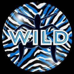 Tribute To Wild FM - Megamix #2 (50 Tracks)