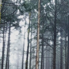 SaySo (feat. BNVLNT)