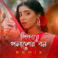 Pindare Polasher Bon (Remix)