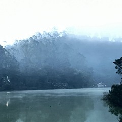 steamy surface