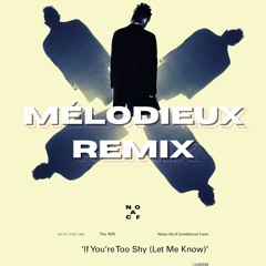The 1975 - If You're Too Shy (Mélodieux Remix)