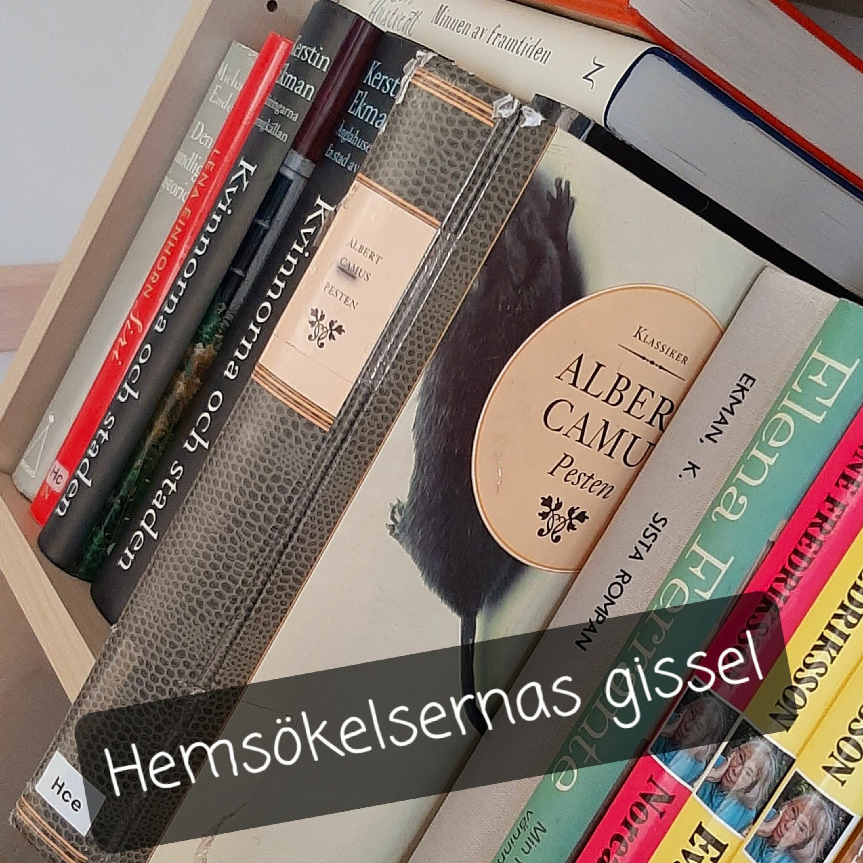 Mellan mörker och ljus
