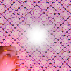 G0T M3