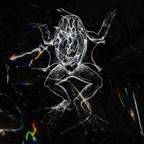 [DISSECTION028] w/ Aspetuck