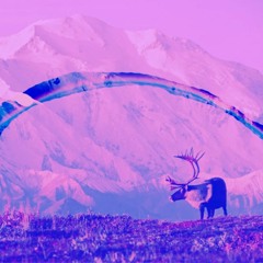 Denali (Don't Wanna)