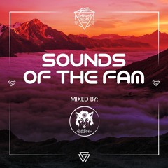 Sounds of the Fam | Mixed By: Skoll | Presented By: Denver EDM Fam