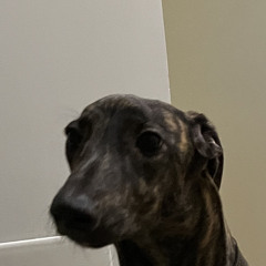 Hanselm - taas sä meet (Radio edit) .wav