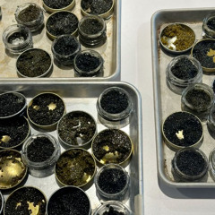 grinding clipse remix