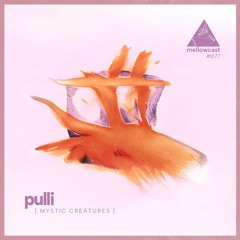 mellowcast #077 | pulli