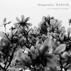 Magnolia : Rebirth (for Chamber Strings)