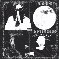 Lobo Solitário ft. DVNTV$ [Prod.DVNTV$]