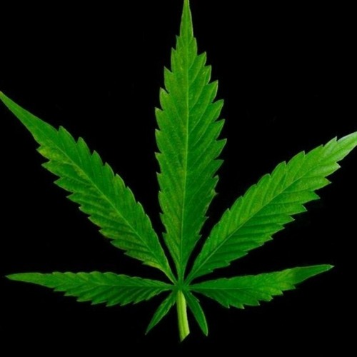 Tim Dian – one life Marijuanas MIX