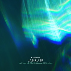 Kapibara - Goblin (Martin Waslewski Remix)