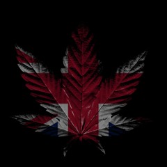 g3armatic - i hate windows prod nvrlyn