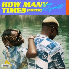 How Many Times (Cover)