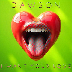 I Want Your Love