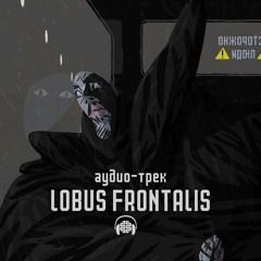 Lobus Frontalis