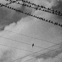 you might not understand this and thats okay