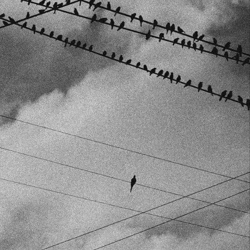 you might not understand this and thats okay