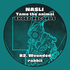 B2. Nasli - Wounded Rabbit