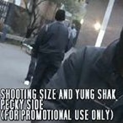SHOOTING SIZE FT YUNG SHAK PECKYSIDE/FUCK GULLYSIDE