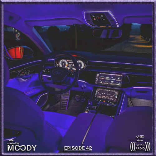 S.F.Y.E. Radio #42 (AMBZ Takeover)