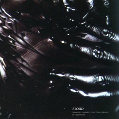 Sebastian Ingrosso - Flood (Sofnn. Remix)