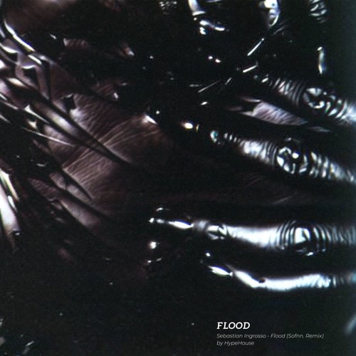 Sebastian Ingrosso - Flood (Sofnn. Remix)