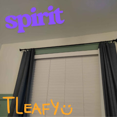 spirit