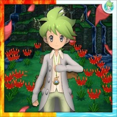 Pokemon Rosa - Vs Wally [Cover]