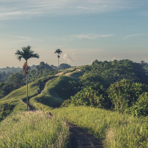 Wally Stryk - Autumn Mix Podcast - Octobre 2020