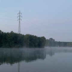 Malvíny