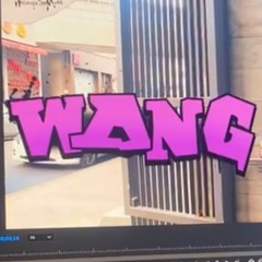 wang [prod nephminaj]