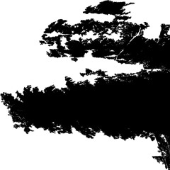 What Do You See ?