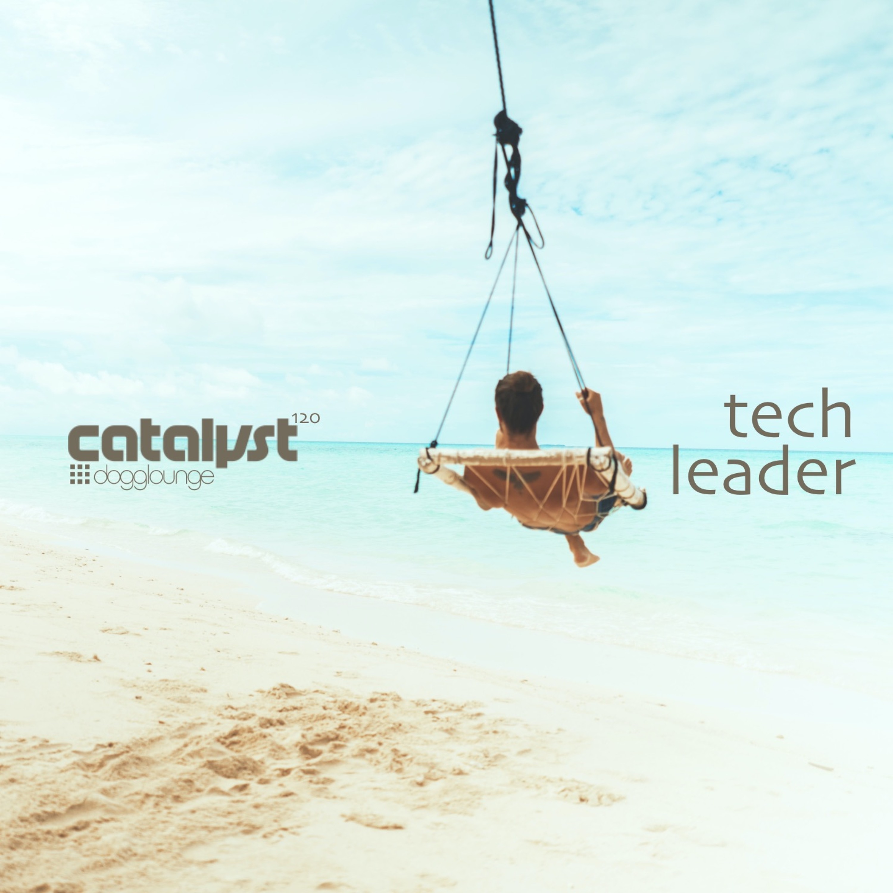 cover of episode DL120 - tech leader