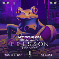 Prog in a Sock - Frisson 2024 releases mix by CommonGround