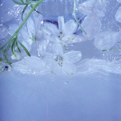 겨울 끝의 밤