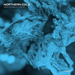Premiere: Northern Cold - When The Walls Close In (IN_DUAL Remix)