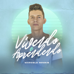 Vivendo e Aprendendo