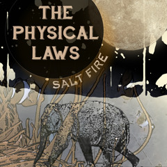 The Physical Laws