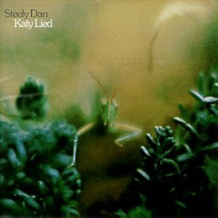 Doctor Wu (Katy Lied) - Steely Dan Cover