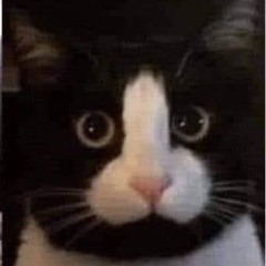 Hey Big Eyes (George Clanton Remix) - Caroline Polachek [NIGHTCORE]