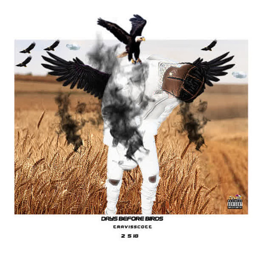 Travis Scott- The Hooch(432 hz)