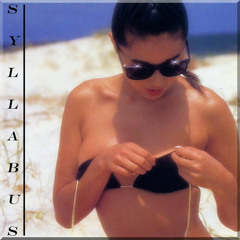 SYYLABUS - The Other Day