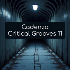 Cadenzo - Critical Grooves 11