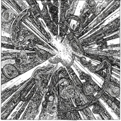 When the lights fade away