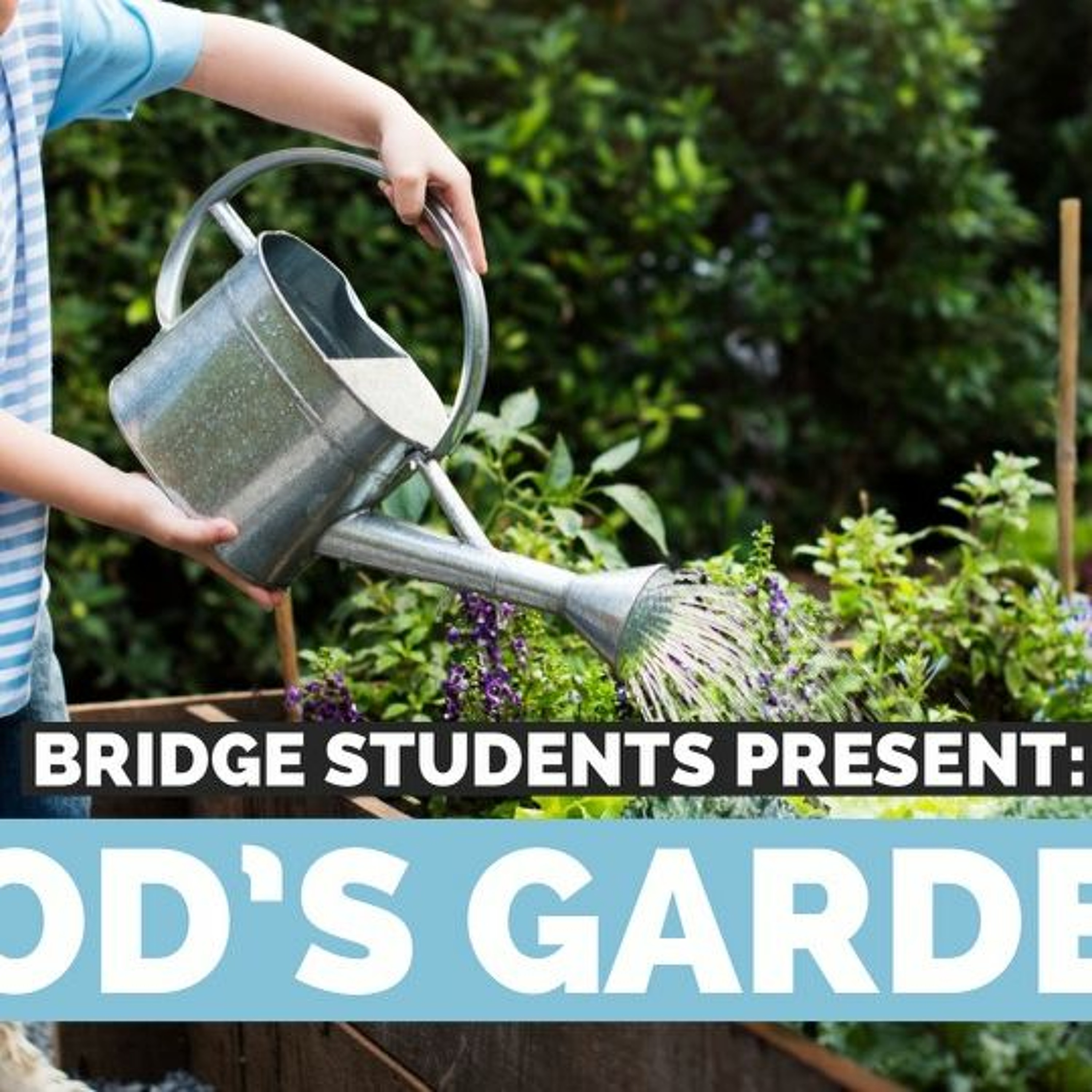 Youth Group 7-24-22 Undermining Week 3